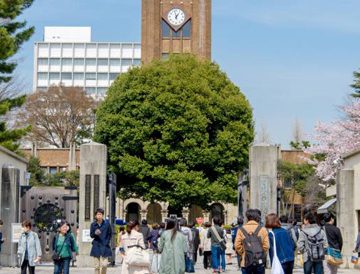 University/College Selection