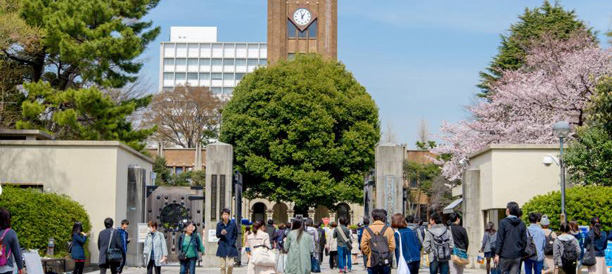 University/College Selection